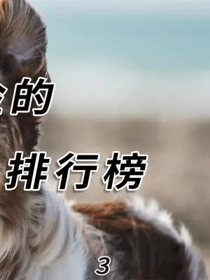 盘点世界上最凶猛的十大恶犬,东方战神藏獒只配垫底#科普