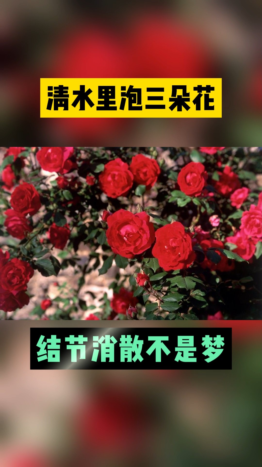 清水里泡三朵花,结节消散不是梦#肺结节 #甲状腺结节 #磨玻璃结节 #淋巴结节 #息肉 #肿瘤 #中医 #健康