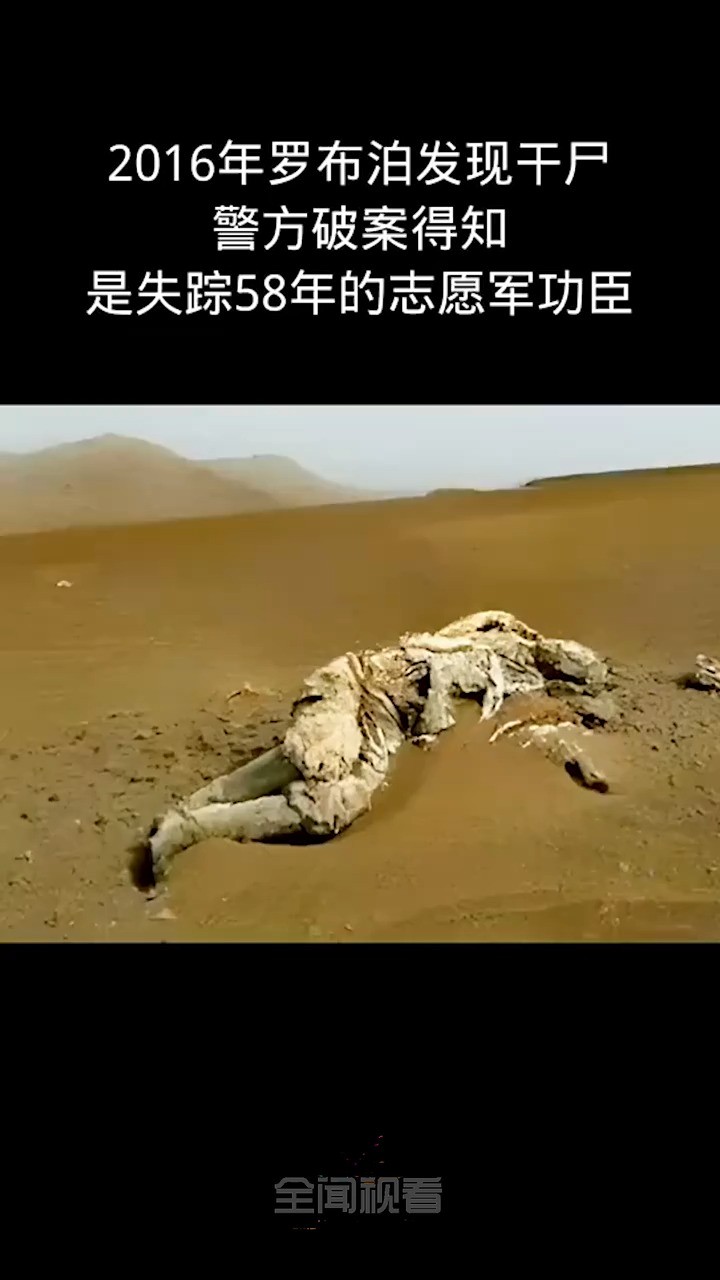 致敬英雄缅怀先烈