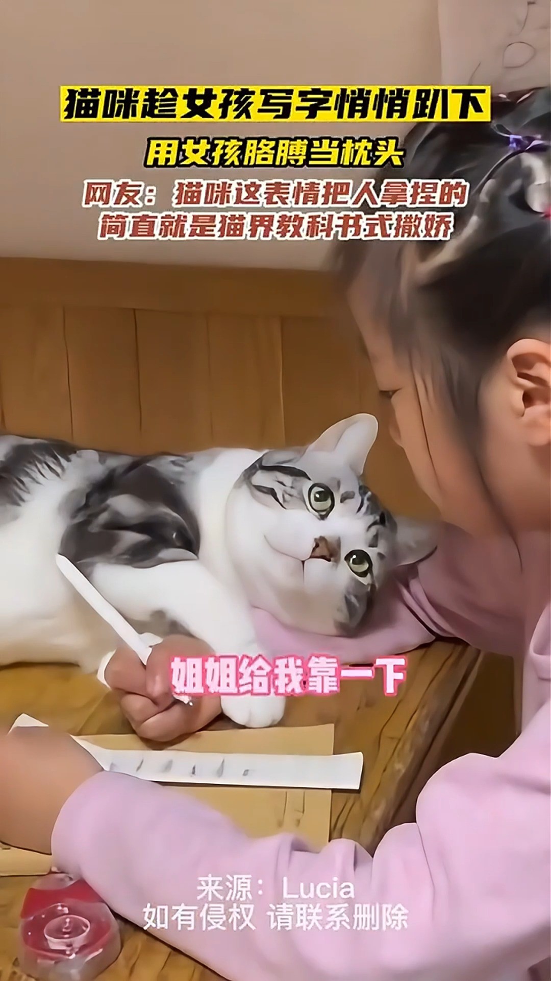 猫咪撒娇表情堪称猫界教科书 #萌宠成精了 