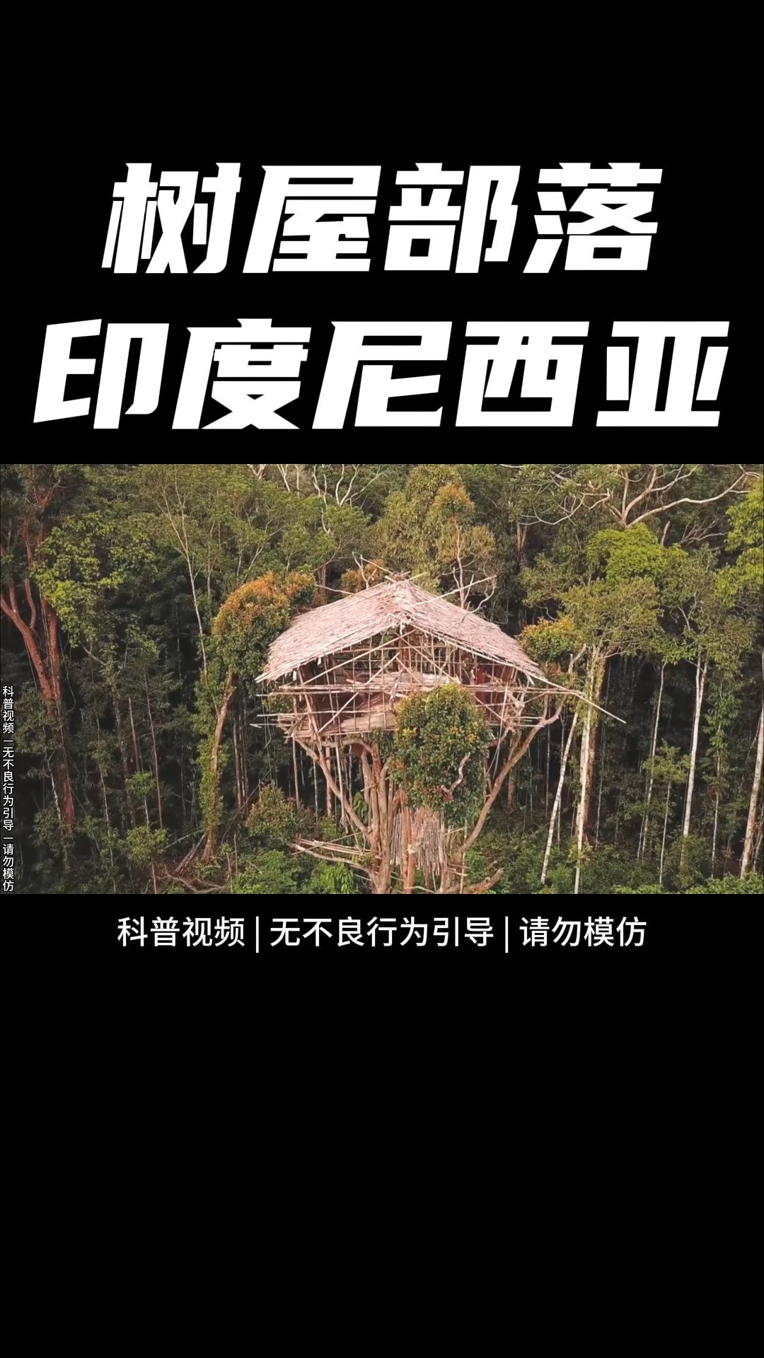 这个树屋距离地面50米,它是印度尼西亚科罗威部落日常居住的房屋,几个世纪以来,他们一直居住在茂密的原始森林中,过着茹毛饮血的生活.直到20世纪...