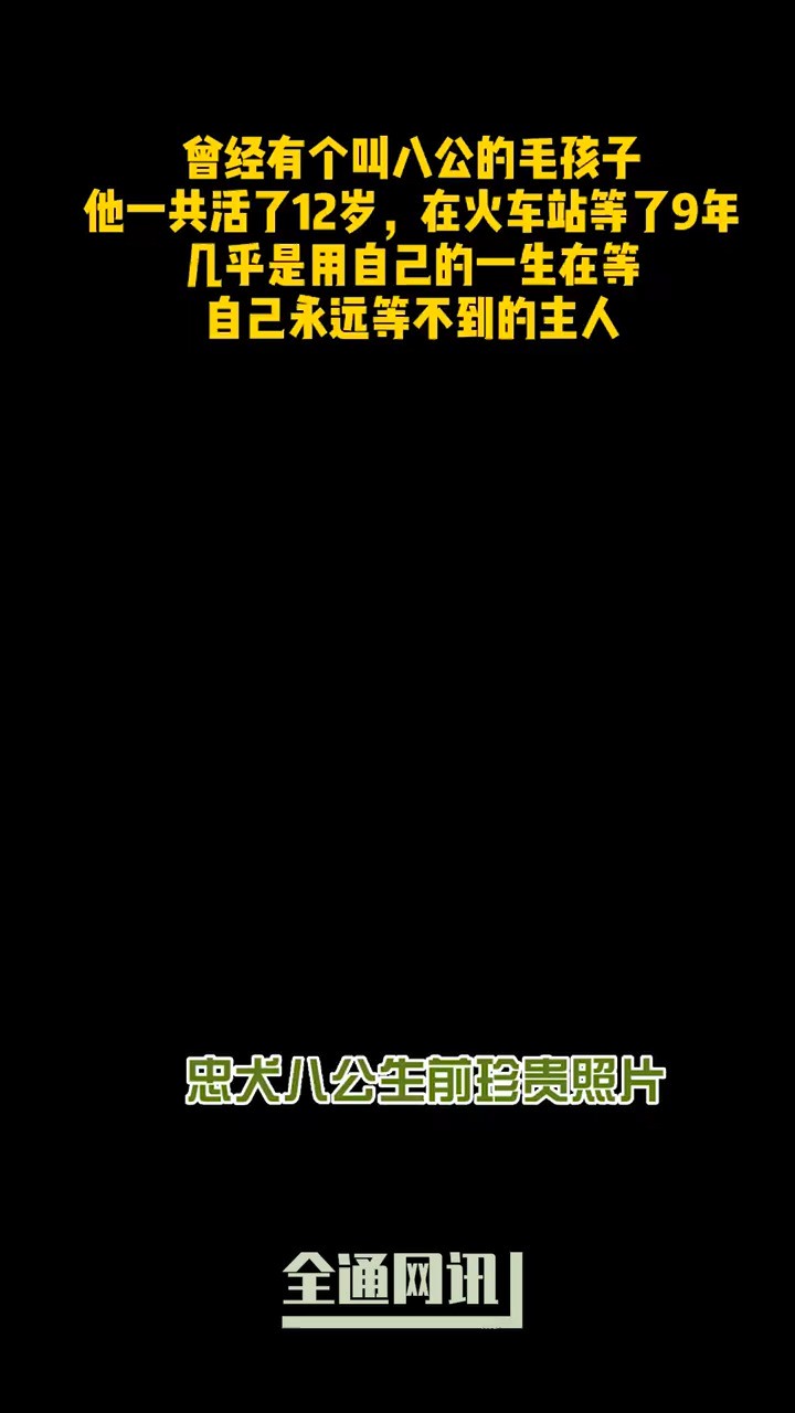 看一遍哭一遍!在涩谷站前一等就是9年,直到1935年11岁死