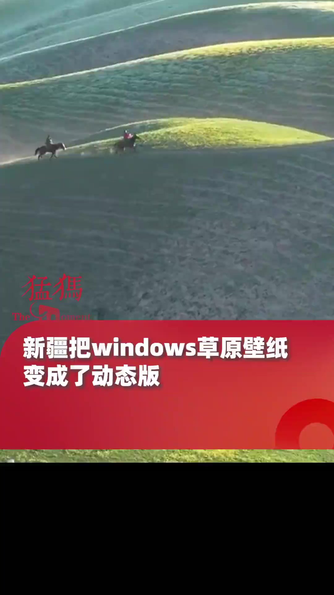 新疆把windows草原壁纸变成了动态版,草原花开遍地,山如绿波,太美了!