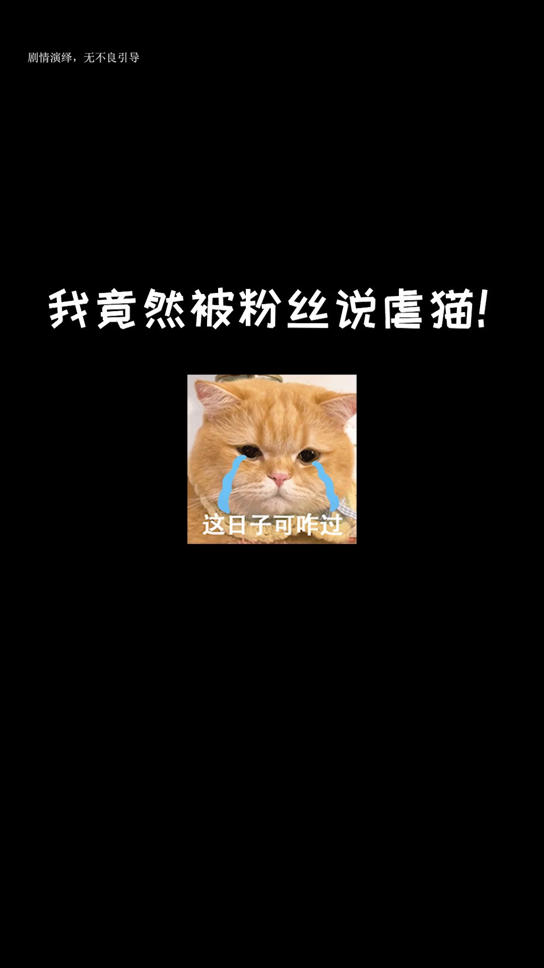 我居然被粉丝说虐猫了...猫咪表情包萌宠出道计划铲屎官的日常全网最乖的猫被迫营业的猫猫