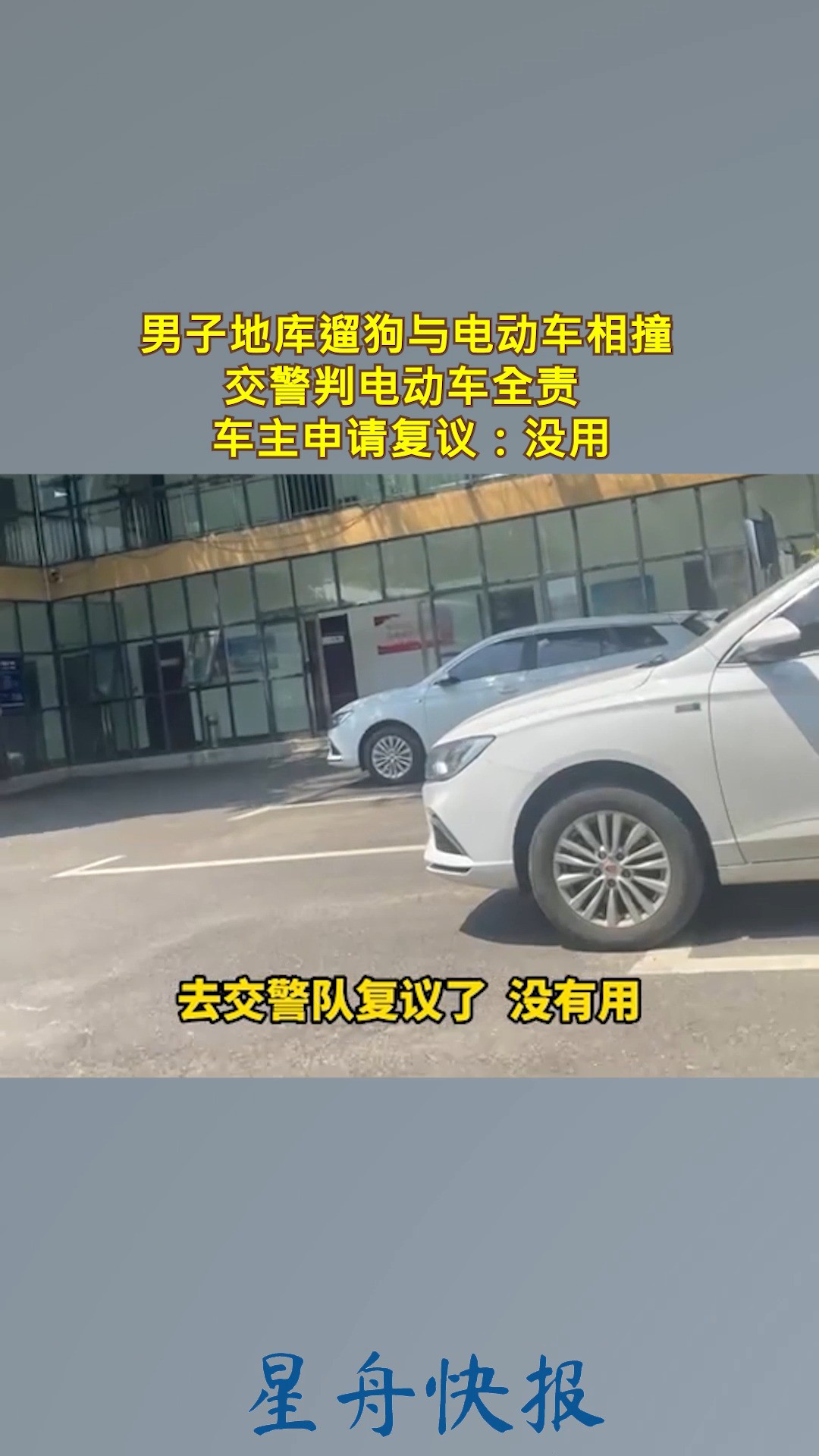 男子地库遛狗与电动车相撞,交警判电动车全责,车主申请复议