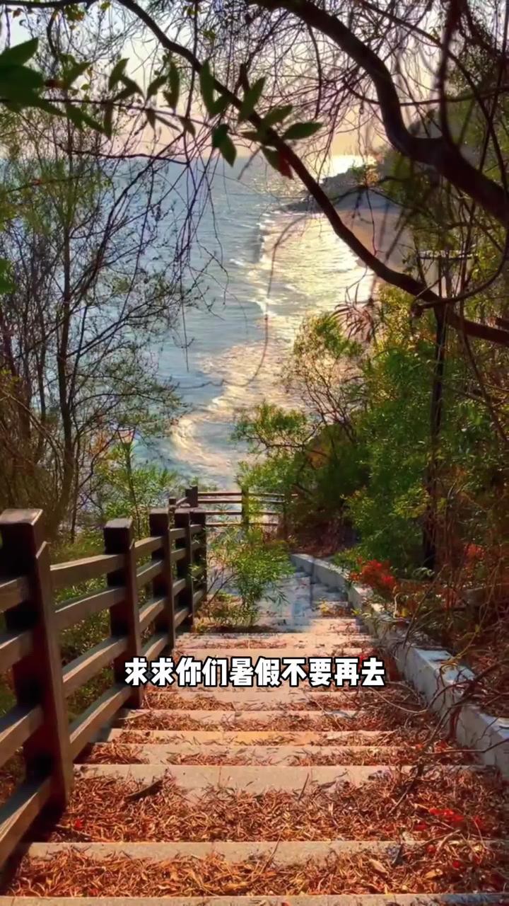 暑假必打卡三个旅游城市,暑假旅游景点,暑假旅游目的地推荐,暑假旅游攻略.#旅游攻略#旅游推荐#旅行推荐官#暑假旅游去哪玩#暑假就该这么玩