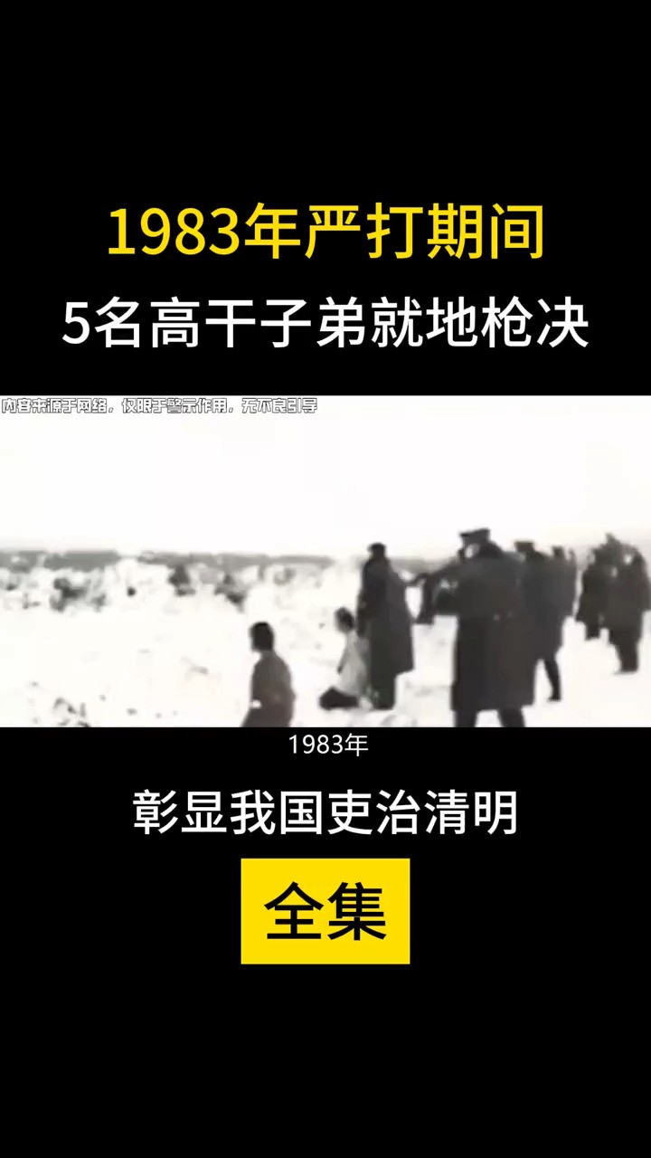 1983年严打期间,5名高干子弟就地枪决,彰显我国吏治清明(全集上)