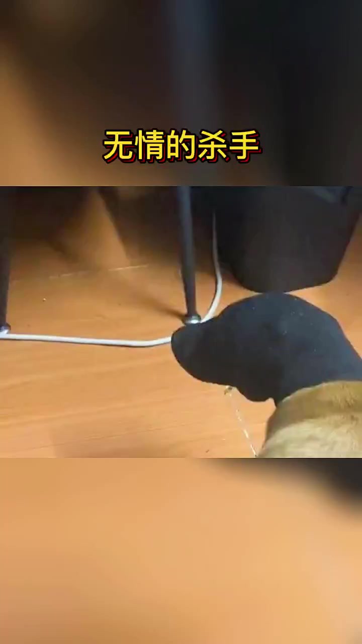 无情的杀手 #冬日暴击