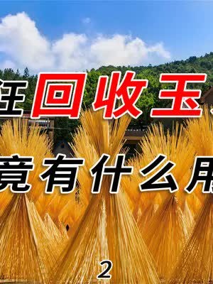 我国惨遭嫌弃的玉米秸秆,美国人为啥要疯狂回收?究竟有什么用?#科普