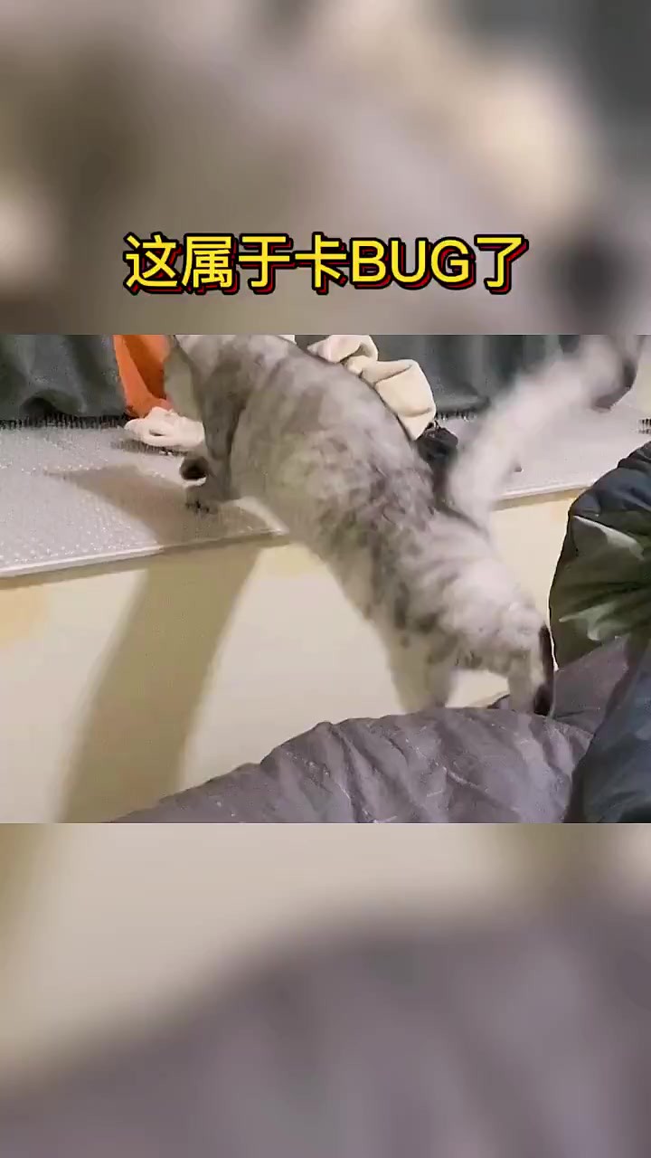 进退两难 