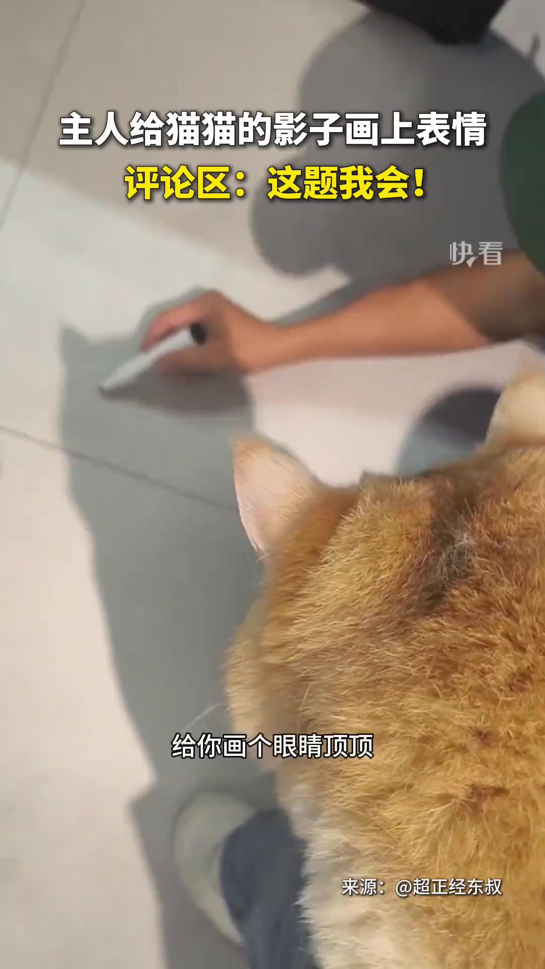 主人突发奇想给猫猫的影子画上表情.评论区:这题我会!