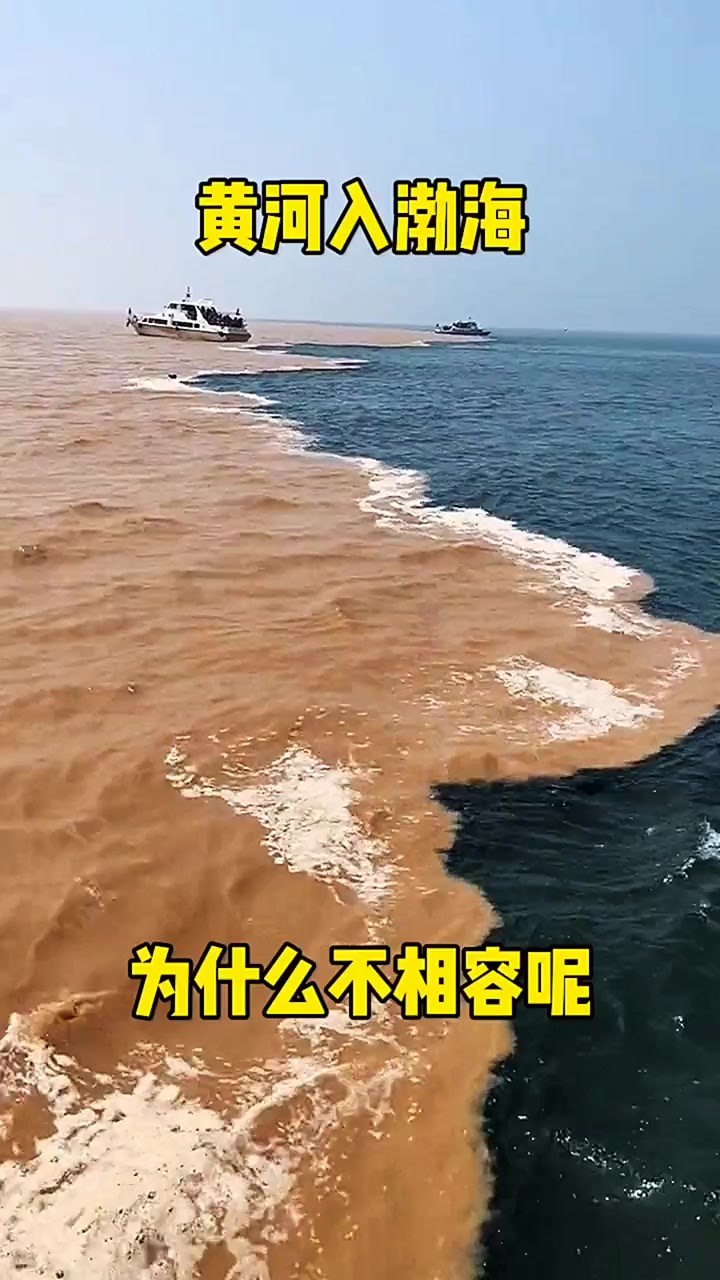 黄河渤海分界线太壮观了 #搞笑配音 #搞笑视频