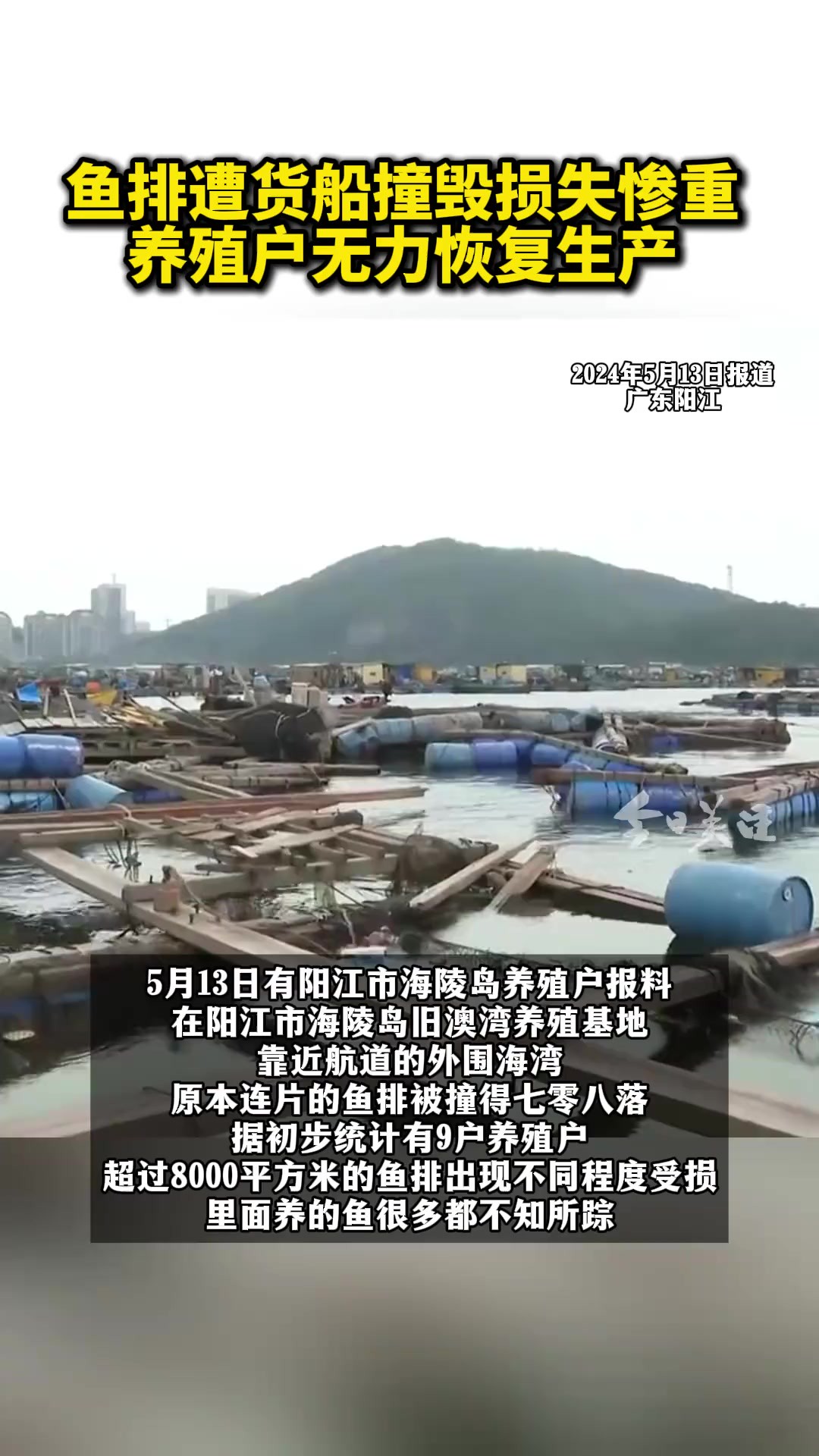 事发后,阳江海事部门第一时间介入事故调查.海陵岛试验区海洋与渔业局表示,事故责任清晰,损失严重,已经多次组织船东公司和养殖户协商.损失的...