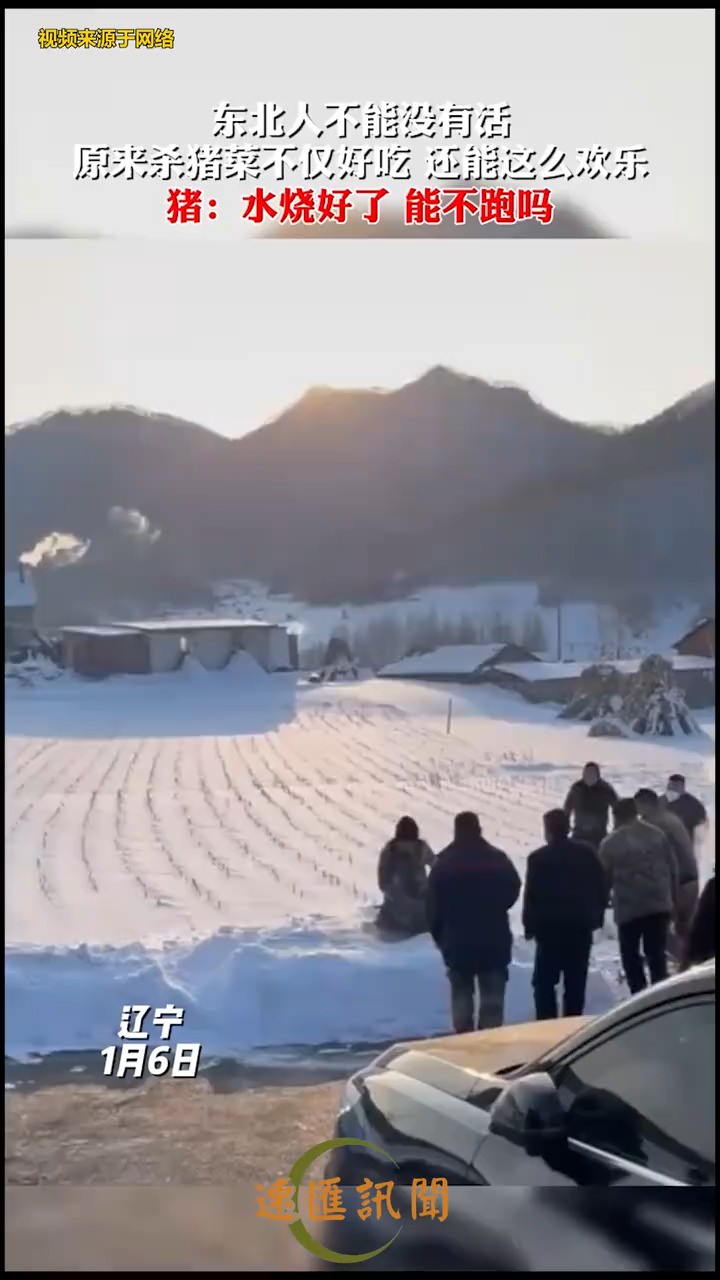 原来#杀猪菜不仅好吃,从第一个环节开始就这么有趣