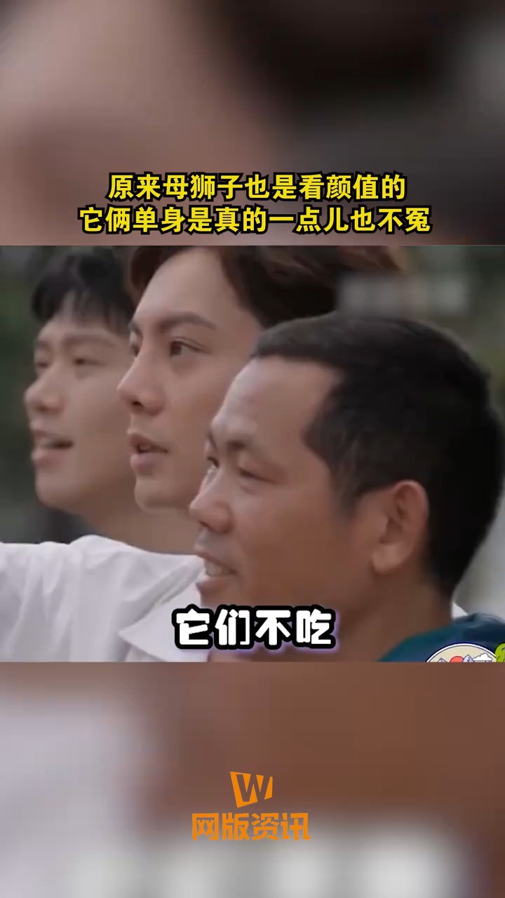 原来母狮子也是看颜值的,它俩单身是真的一点儿也不冤