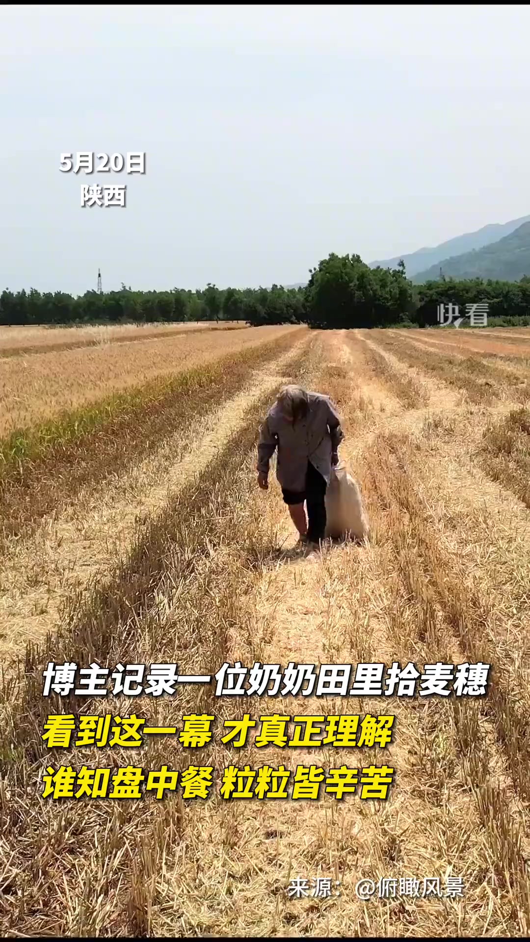 博主记录一位奶奶田里拾麦穗.看到这一幕才真正理解:谁知盘中餐.粒粒皆辛苦.