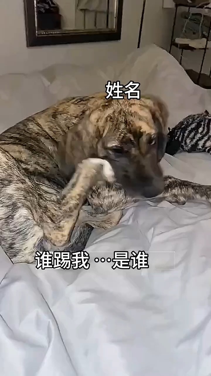 到底是谁