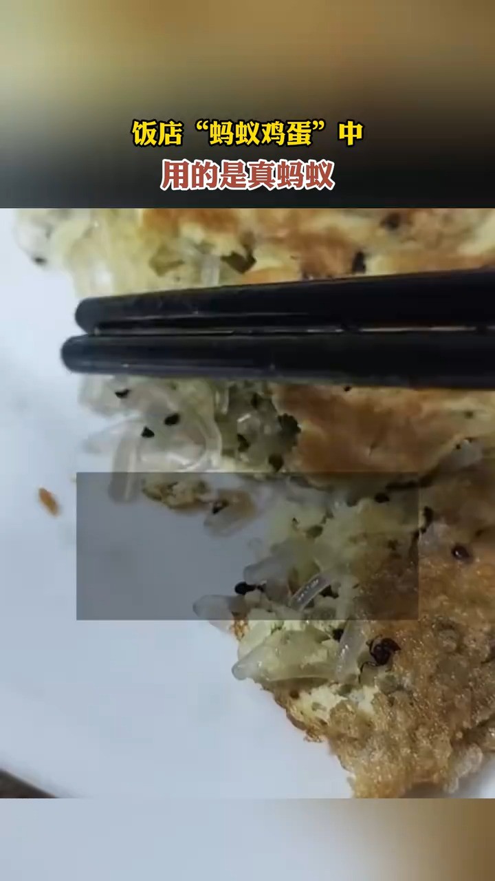 饭店“蚂蚁鸡蛋”中,用的是真蚂蚁