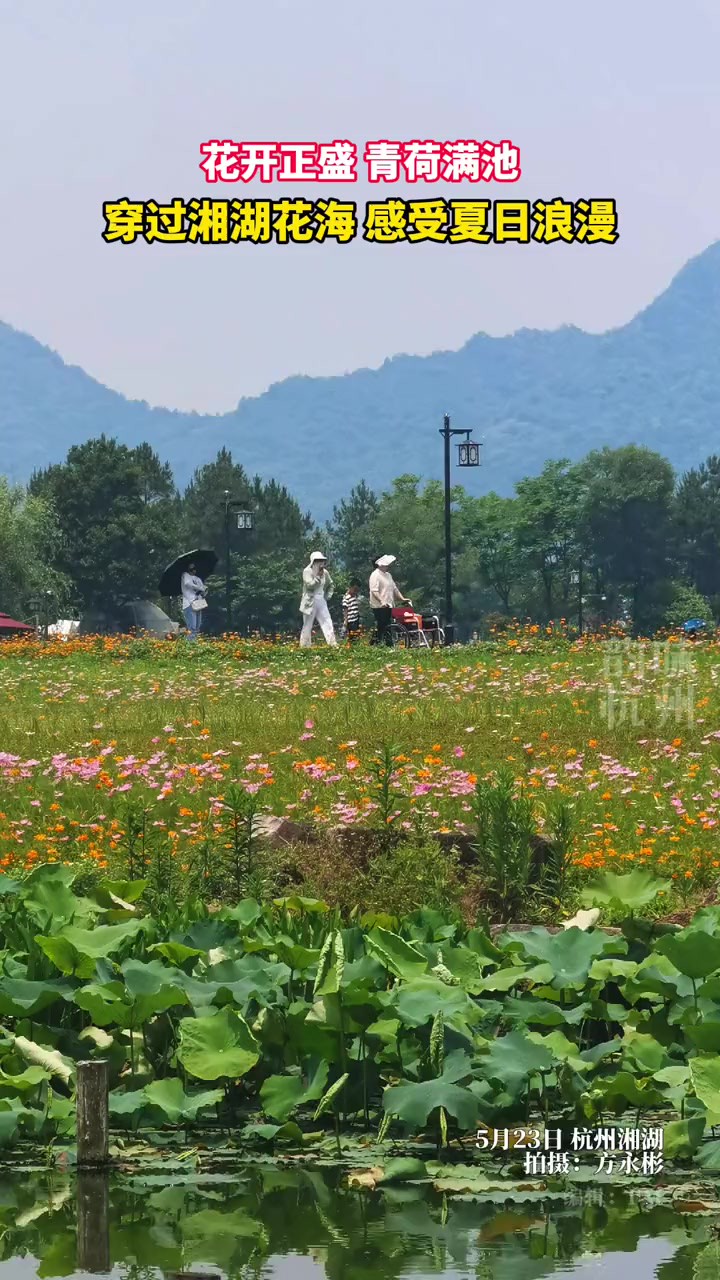 热爱生活的人,心中都有一片花海.穿过湘湖花海,感受杭州夏日的浪漫.(来源:杭州日报)