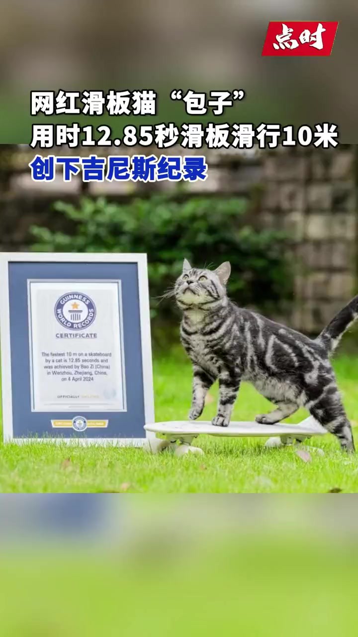 全世界最快!5月23日,吉尼斯世界纪录的官网上更新了一条最新的世界纪录,一只来自温州的小猫以12.85秒的成绩,创下“猫咪最快完成10米滑板滑行”...