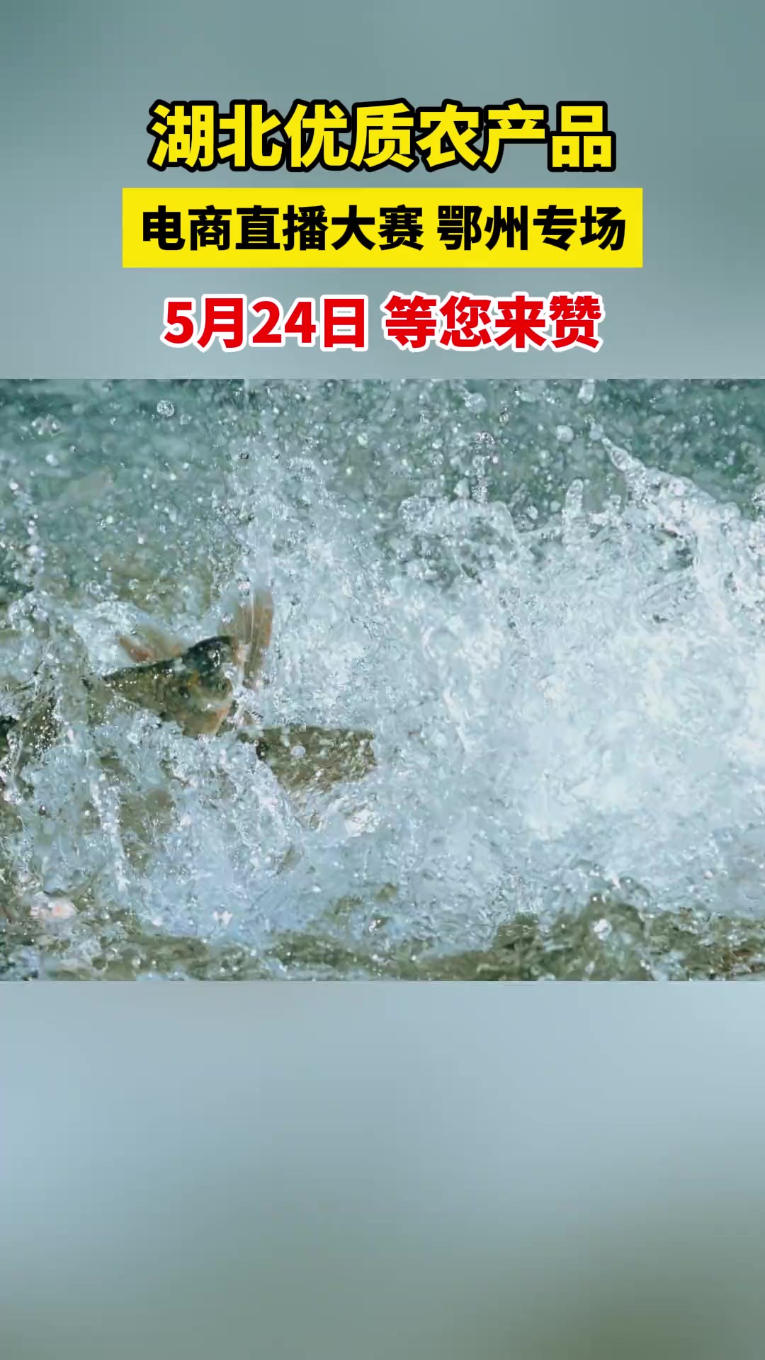 5月24日,湖北农展! 鄂州专场,等您来赞!