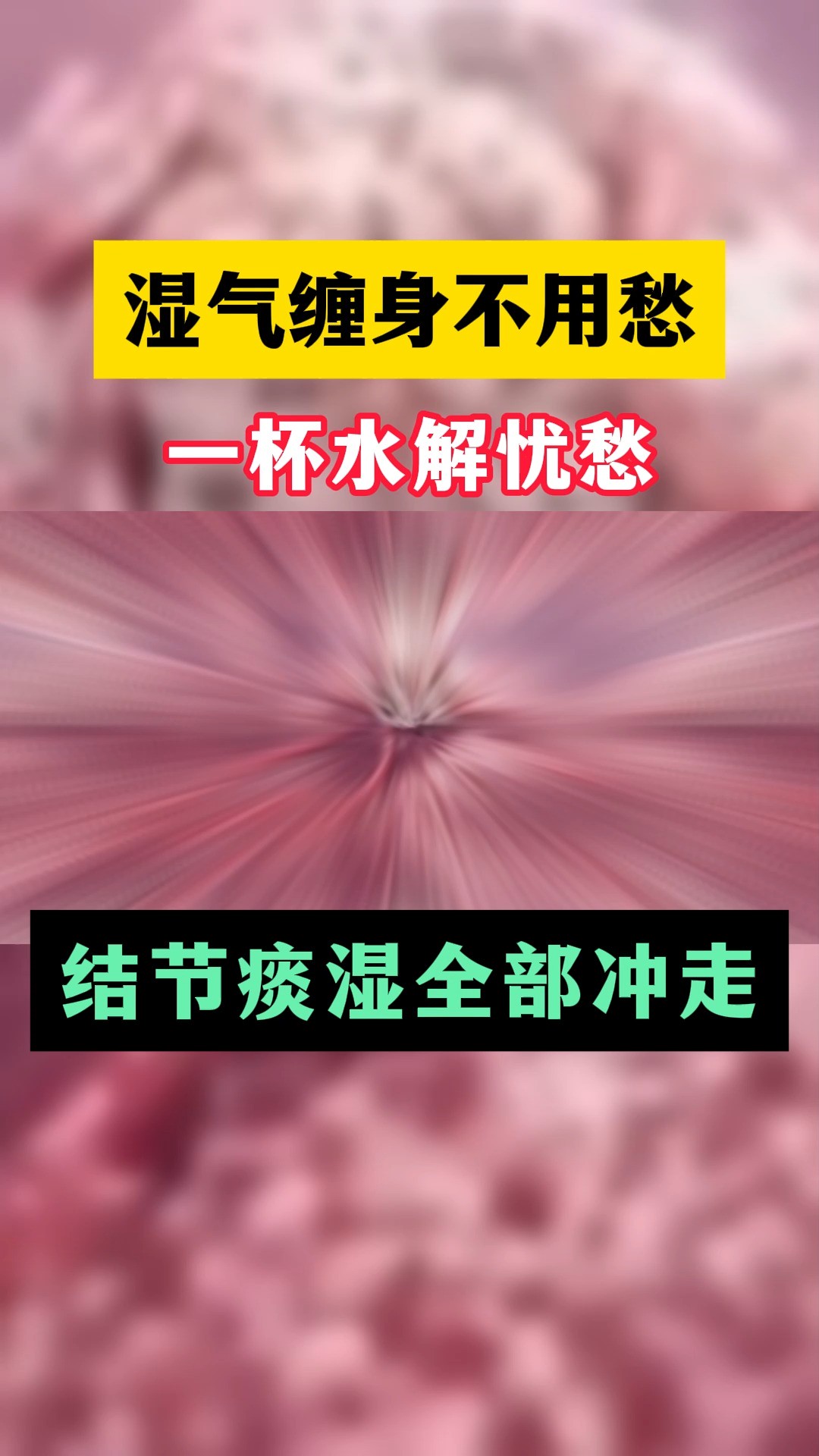 湿气缠身不用愁 一杯水解忧愁 结节痰湿全部冲走