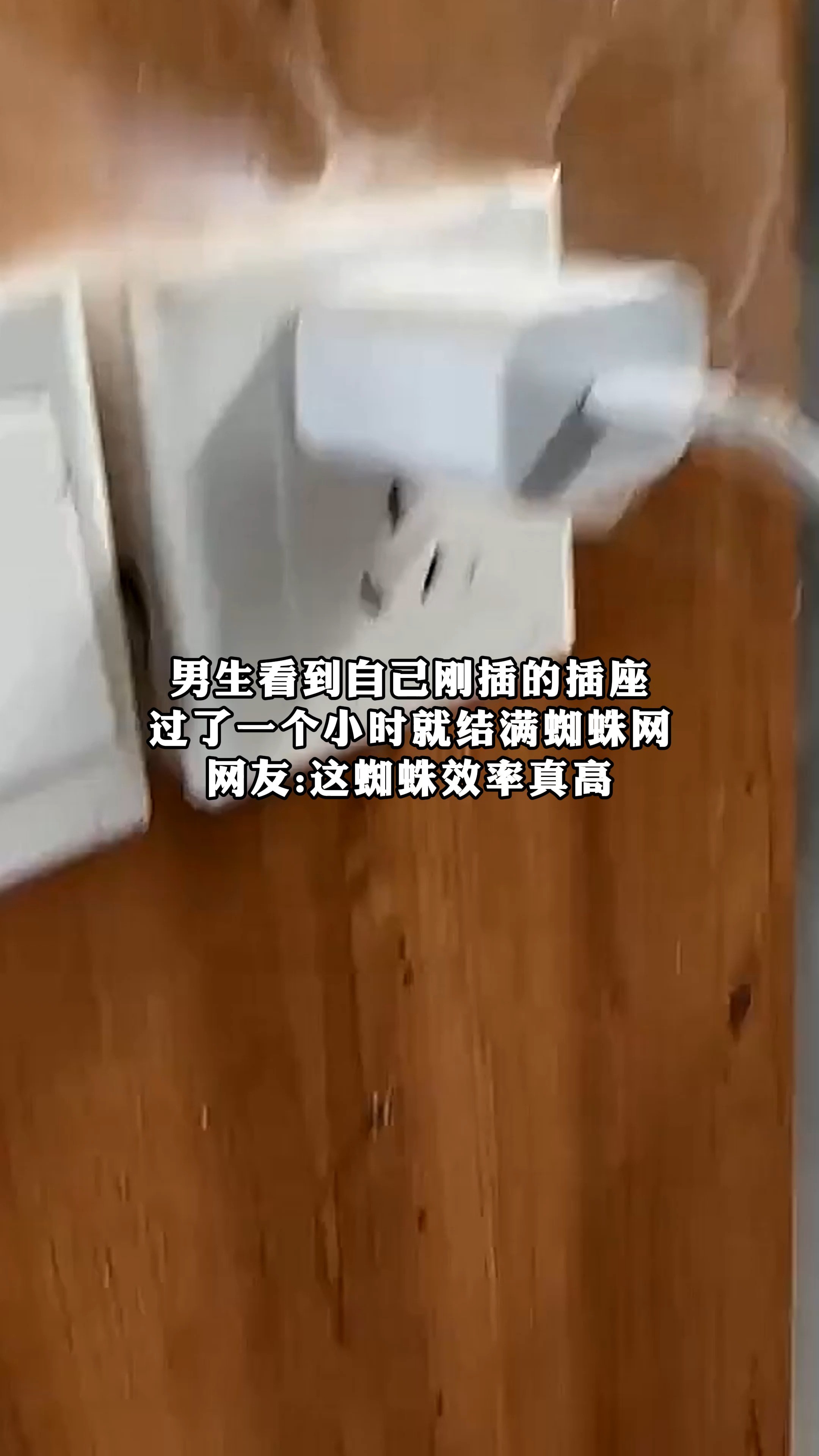 男生看到自己刚插的插座,过了一个小时就结满蜘蛛网,网友:这蝴蛛效率真高