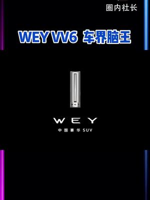 WEY VV6