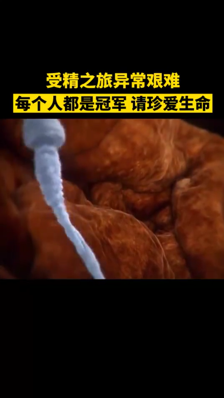 请珍爱生命