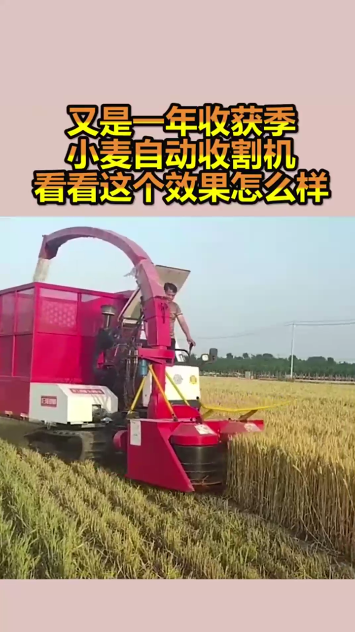 c5b803d6aa0e0ee5.png