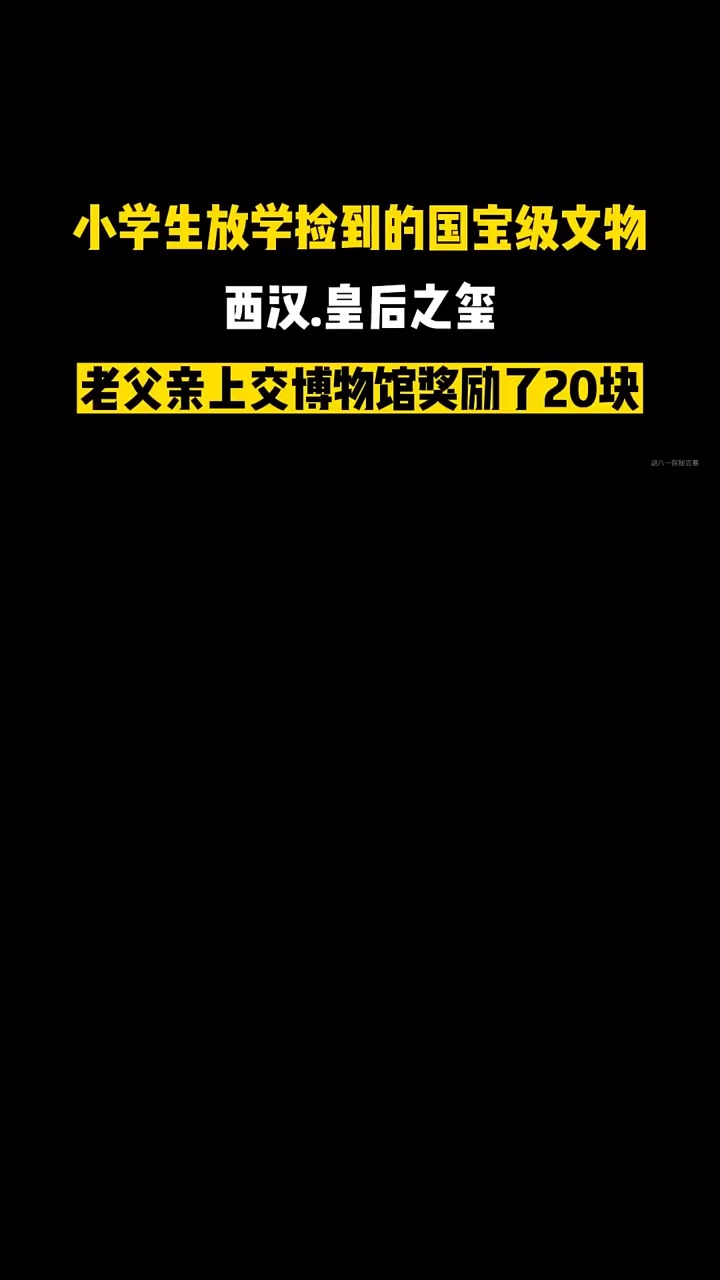 “皇后之玺”发现之谜,小学生路边捡到,上交后奖励20元!! #考古发现 #文物