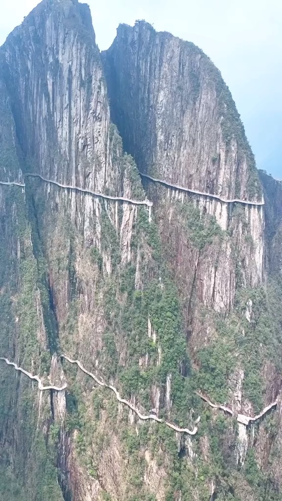 不识莽山真面目,只缘身在此山中