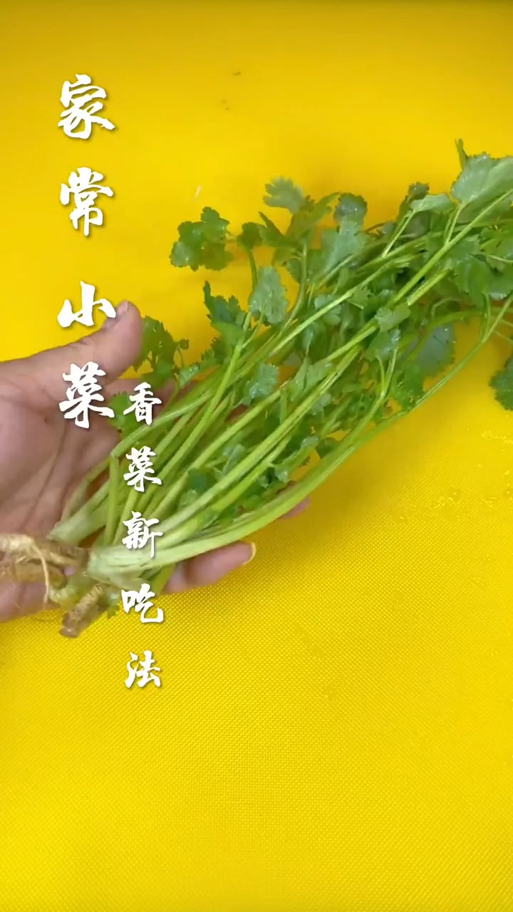 香菜的新吃法