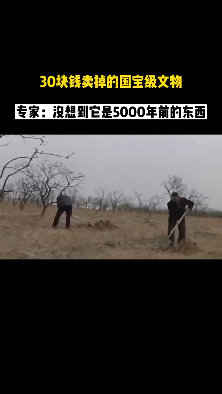 农民30块钱卖掉生锈的铁环,专家没想到它是5000年的东西!