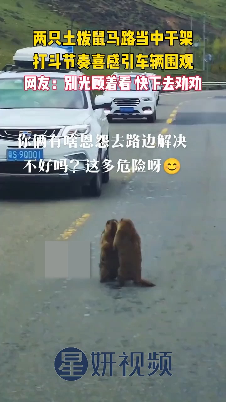 不要再打了啦不要再打了啦