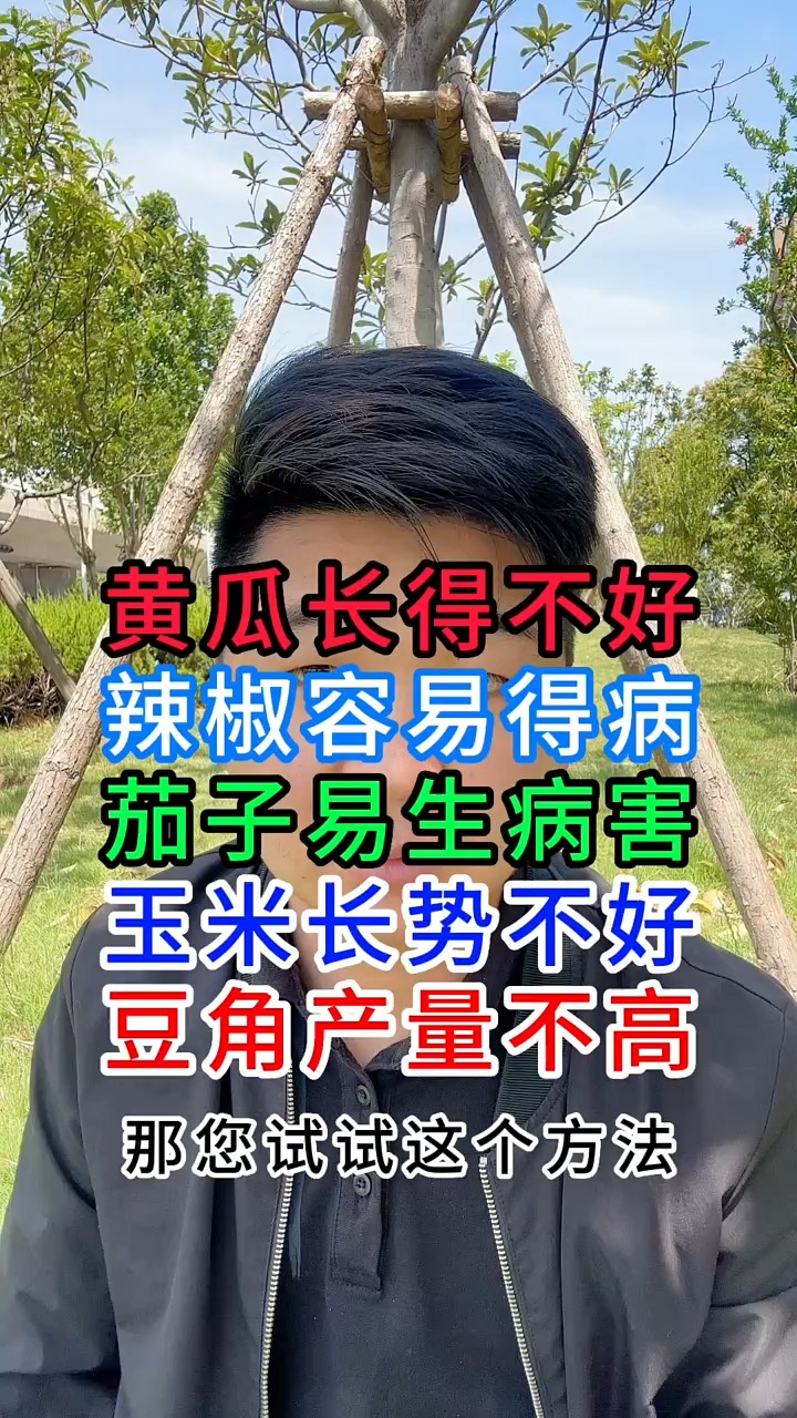 最喜欢的一样东西是什么 