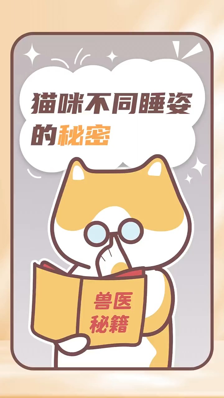 猫咪不同睡姿的秘密,你家猫咪是怎么睡的呢? 