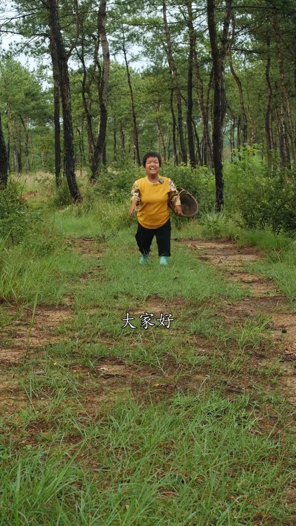 松树菇你们吃过吗?这两天下雨,山上松树菇出来了,去找点回家给小孩子炒肉吃,吃起来鲜香滑嫩,俏巴的很!#我的乡村生活 #神评即是标题 #百万视友赐...