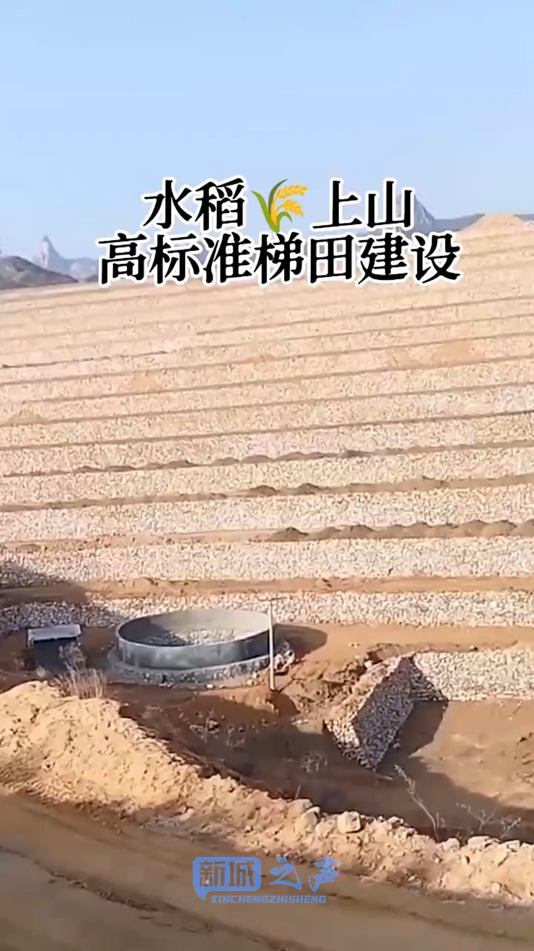 水稻上山 高标准梯田建设