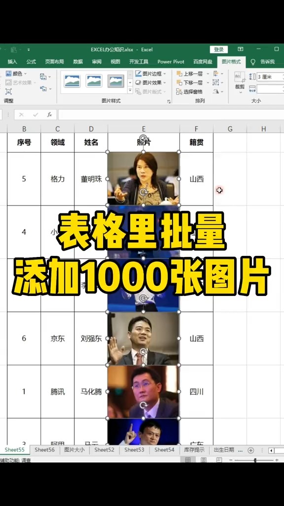 表格里批量插入图片#excel技巧 #0基础学电脑 #office办公技巧 #文员 #电脑小白#神评即是标题