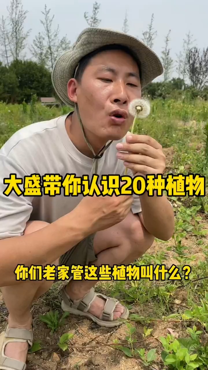 这些植物大家认识几种?