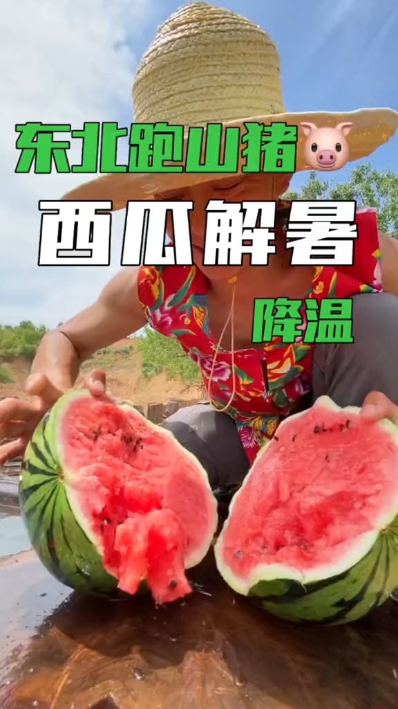 夏日降温必备 西瓜解暑 #百万视友赐神评