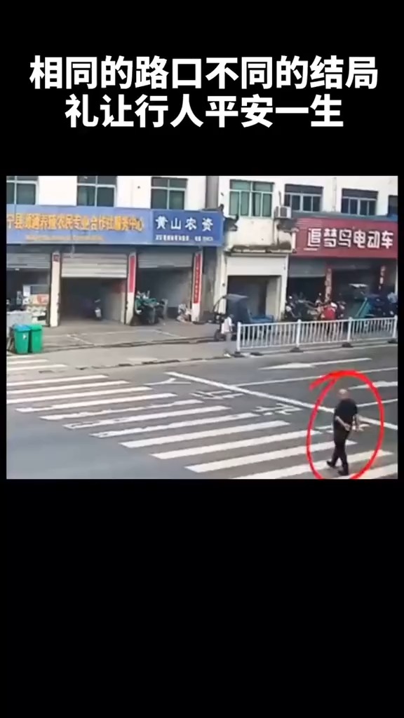 道路千万条,安全第一条!礼让行人平安一生