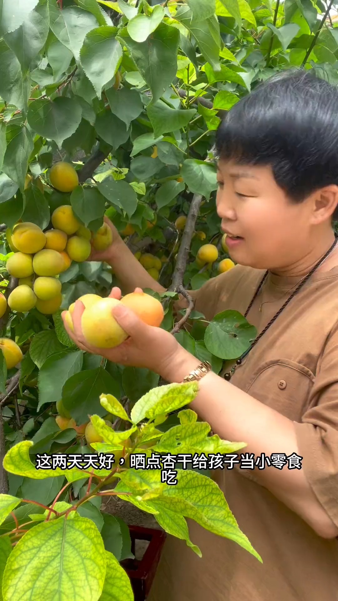 自制杏干,酸酸甜甜好吃又筋道,放一年都不会坏#百万视友赐神评