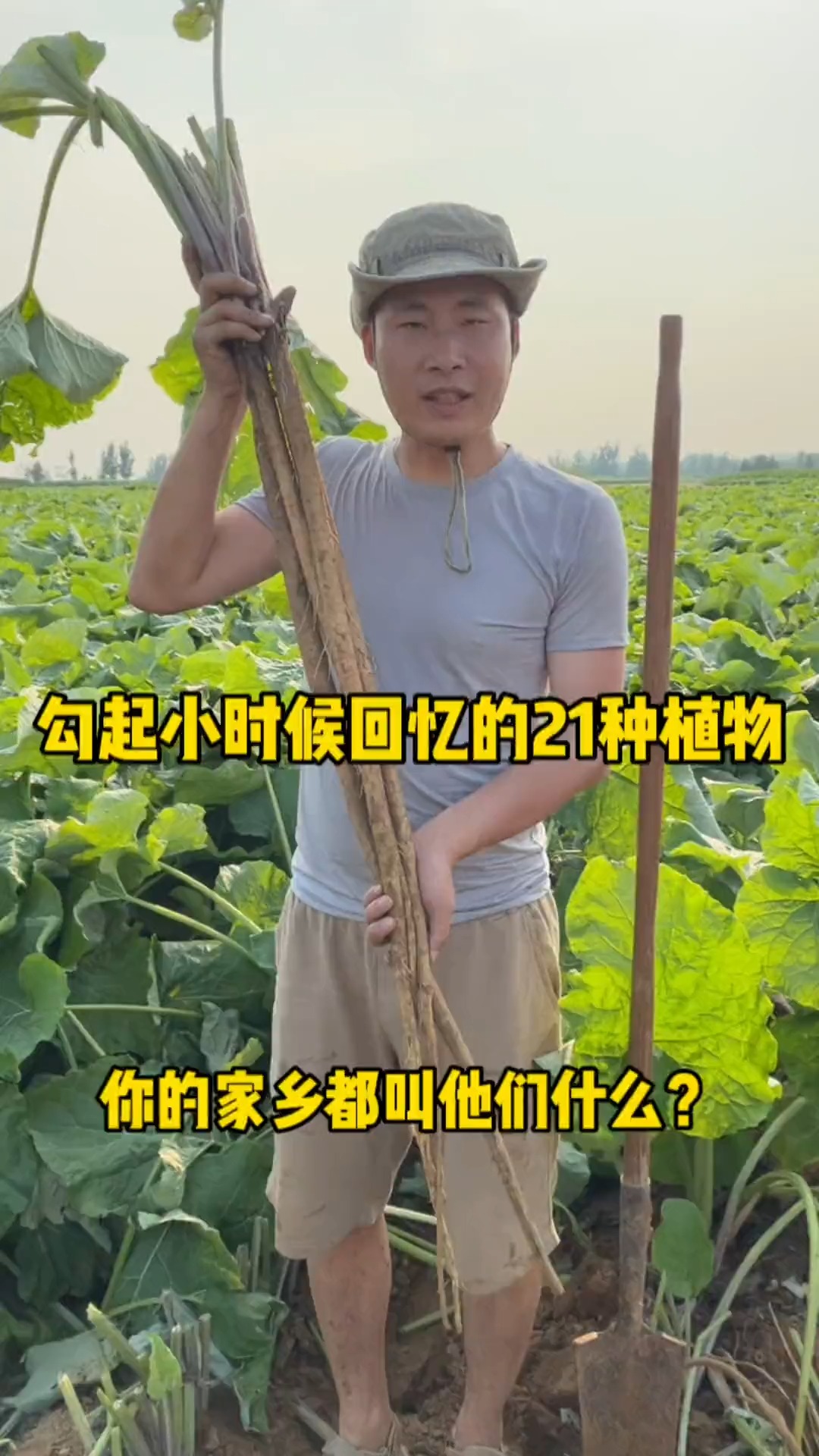 勾起小时候回忆的21种植物,你们家乡现在还有吗?都叫他们啥? #神评即是标题 #百万视友赐神评 