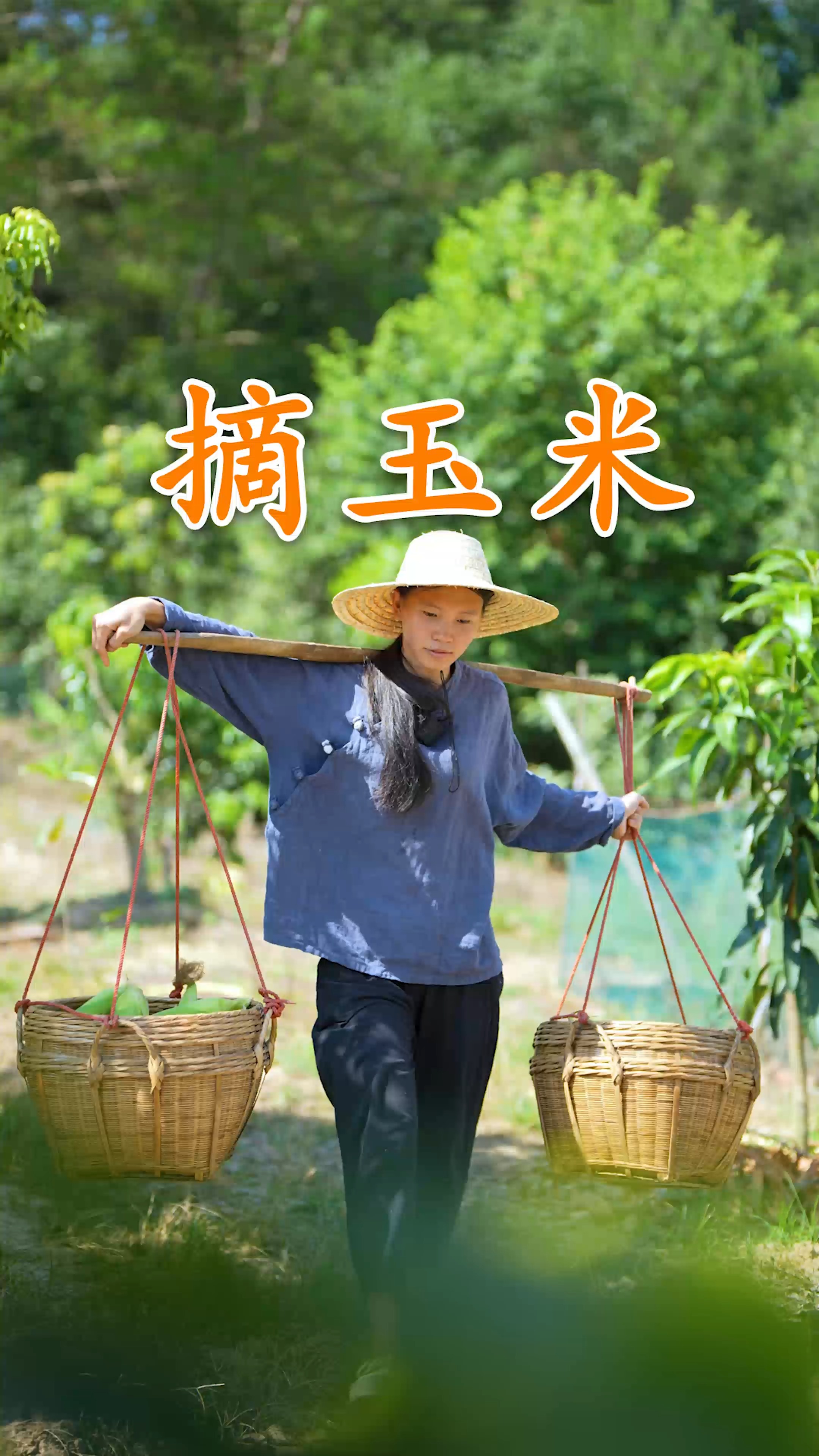 历时三个月,从播种到收获,摘玉米回去用传统方法磨成浆,做饼香#我的家乡味道 