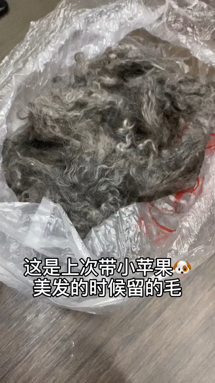 小苹果的地位比我都高