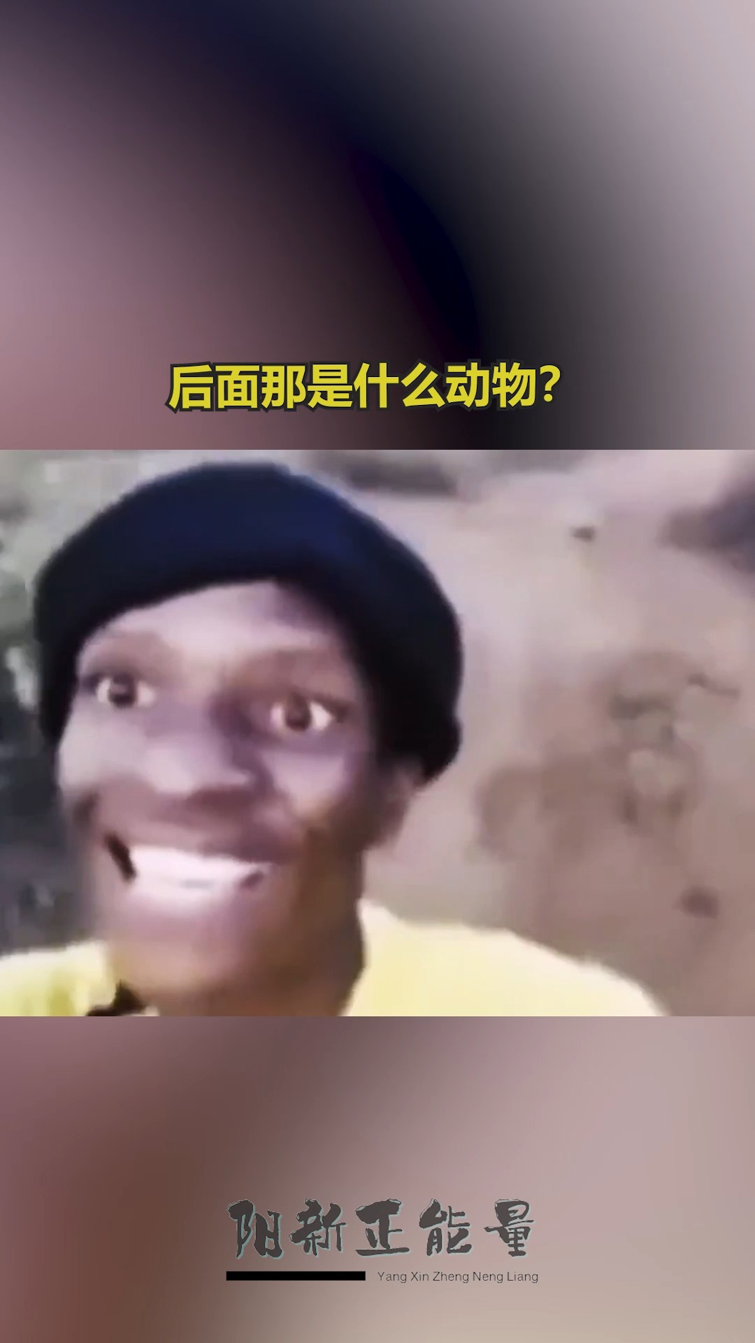 后面那是什么动物? 