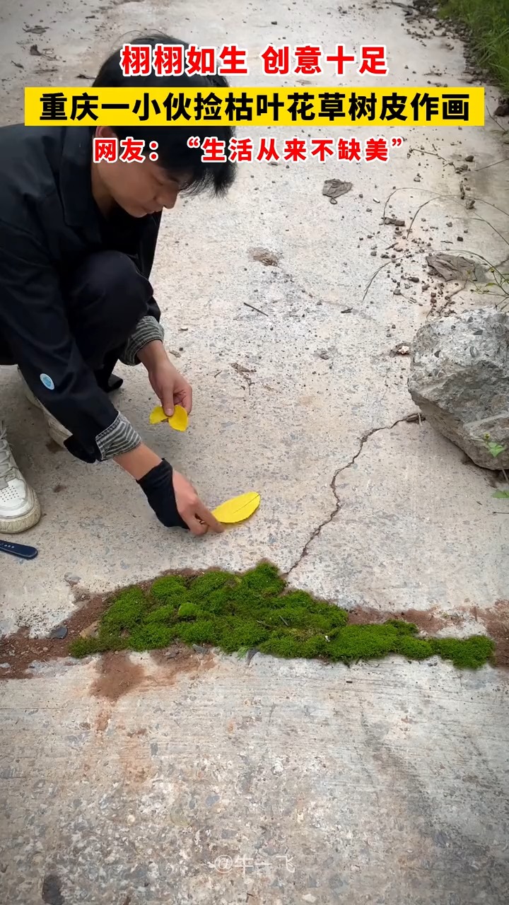 栩栩如生 创意十足,重庆一小伙捡枯叶花草树皮作画,网友:“生