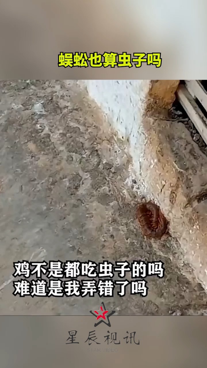 蜈蚣也算虫子吗